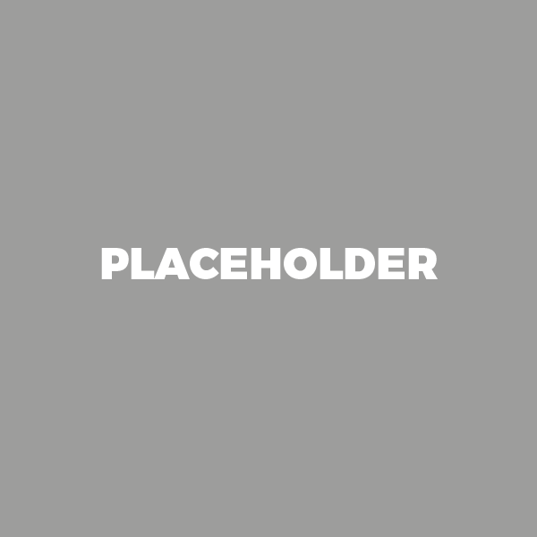 Ndustry Consultants placeholder
